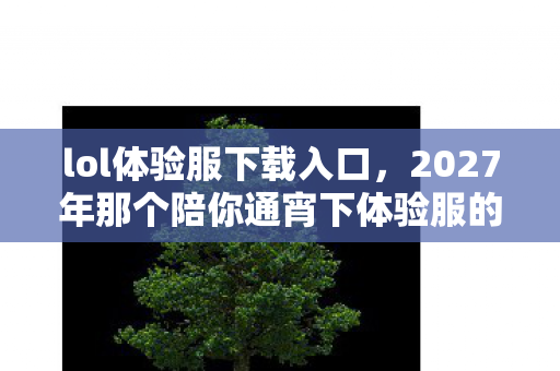 lol体验服下载入口,2027年那个陪你通宵下体验服的TA,如今连上线都成了鼻子一酸的伏笔 lol体验服下载入口,2027年那个陪你通宵下体验服的TA,如今连上线都成了鼻子一酸的伏笔