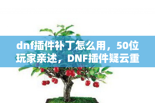 dnf插件补丁怎么用,50位玩家亲述,DNF插件疑云重重,这操作真让人绷不住! dnf插件补丁怎么用,50位玩家亲述,DNF插件疑云重重,这操作真让人绷不住!