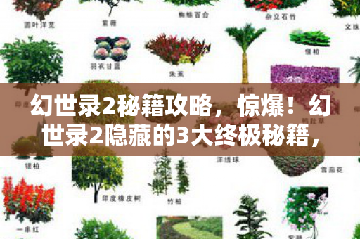 幻世录2秘籍攻略,惊爆!幻世录2隐藏的3大终极秘籍,竟藏着颠覆认知的真相? 幻世录2秘籍攻略,惊爆!幻世录2隐藏的3大终极秘籍,竟藏着颠覆认知的真相?