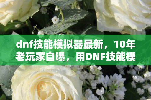 dnf技能模拟器最新,10年老玩家自曝,用DNF技能模拟器,竟揭开游戏人生的辛酸真相? dnf技能模拟器最新,10年老玩家自曝,用DNF技能模拟器,竟揭开游戏人生的辛酸真相?