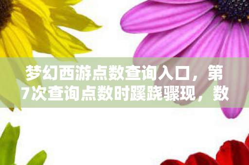 梦幻西游点数查询入口,第7次查询点数时蹊跷骤现,数字背后竟藏着让我后背发凉的真相 梦幻西游点数查询入口,第7次查询点数时蹊跷骤现,数字背后竟藏着让我后背发凉的真相
