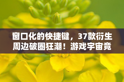 窗口化的快捷键,37款衍生周边破圈狂潮!游戏宇宙竟以这种方式吞噬我的钱包 窗口化的快捷键,37款衍生周边破圈狂潮!游戏宇宙竟以这种方式吞噬我的钱包