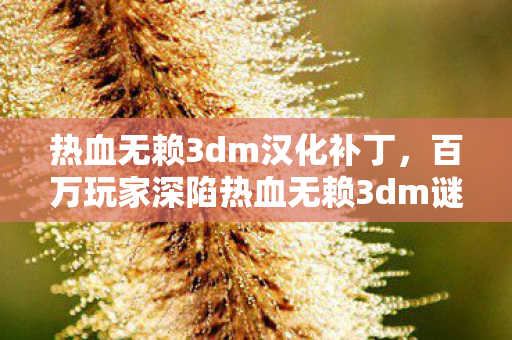 热血无赖3dm汉化补丁,百万玩家深陷热血无赖3dm谜团,谁才是破防真相的揭晓者? 热血无赖3dm汉化补丁,百万玩家深陷热血无赖3dm谜团,谁才是破防真相的揭晓者?