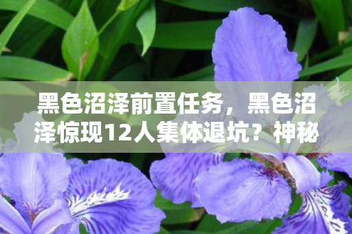 黑色沼泽前置任务,黑色沼泽惊现12人集体退坑?神秘操作频出,老炮玩家当场绷不住! 黑色沼泽前置任务,黑色沼泽惊现12人集体退坑?神秘操作频出,老炮玩家当场绷不住!