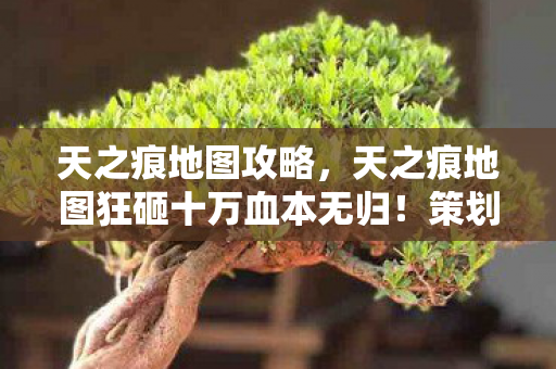 天之痕地图攻略,天之痕地图狂砸十万血本无归!策划暗改爆率,韭菜竟是我自己? 天之痕地图攻略,天之痕地图狂砸十万血本无归!策划暗改爆率,韭菜竟是我自己?