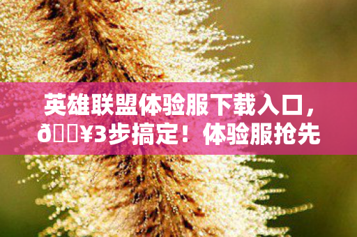 英雄联盟体验服下载入口,🔥3步搞定!体验服抢先玩,99%玩家不知道的隐藏福利大公开! 英雄联盟体验服下载入口,🔥3步搞定!体验服抢先玩,99%玩家不知道的隐藏福利大公开!