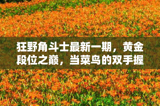 狂野角斗士最新一期,黄金段位之巅,当菜鸟的双手握住神明的权杖,震颤吧命运! 狂野角斗士最新一期,黄金段位之巅,当菜鸟的双手握住神明的权杖,震颤吧命运!