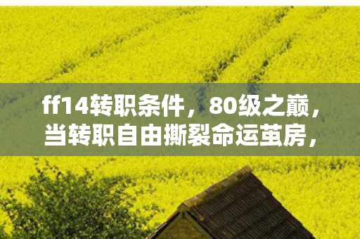 ff14转职条件,80级之巅,当转职自由撕裂命运茧房,你的灵魂在为谁而战? ff14转职条件,80级之巅,当转职自由撕裂命运茧房,你的灵魂在为谁而战?