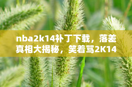 nba2k14补丁下载,落差真相大揭秘,笑着骂2K14补丁,笑着笑着竟哭了! nba2k14补丁下载,落差真相大揭秘,笑着骂2K14补丁,笑着笑着竟哭了!