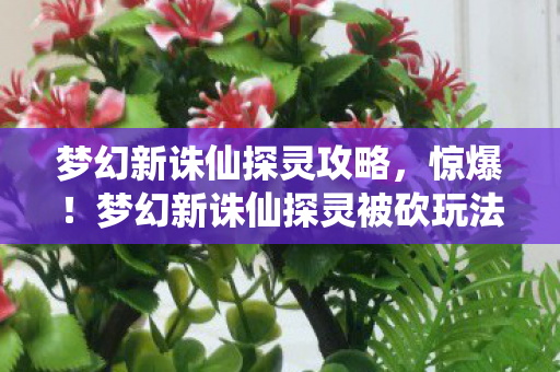 梦幻新诛仙探灵攻略,惊爆!梦幻新诛仙探灵被砍玩法竟值500万?隐情曝光吓一跳! 梦幻新诛仙探灵攻略,惊爆!梦幻新诛仙探灵被砍玩法竟值500万?隐情曝光吓一跳!