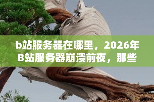 b站服务器在哪里,2026年B站服务器崩溃前夜,那些凌晨三点的等你,让我鼻子一酸 b站服务器在哪里,2026年B站服务器崩溃前夜,那些凌晨三点的等你,让我鼻子一酸