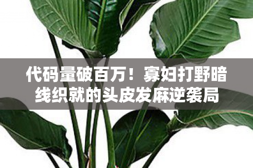 代码量破百万!寡妇打野暗线织就的头皮发麻逆袭局 代码量破百万!寡妇打野暗线织就的头皮发麻逆袭局