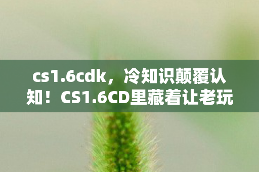 cs1.6cdk,冷知识颠覆认知!CS1.6CD里藏着让老玩家目瞪口呆的惊天秘密 cs1.6cdk,冷知识颠覆认知!CS1.6CD里藏着让老玩家目瞪口呆的惊天秘密
