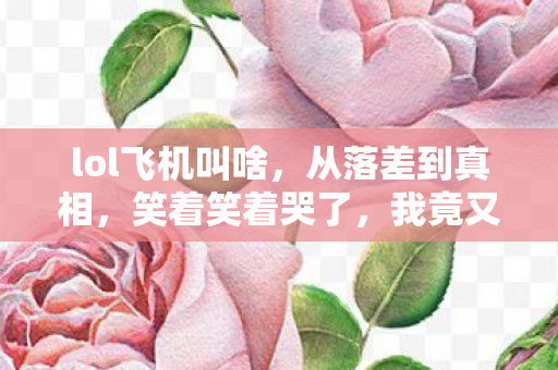 lol飞机叫啥,从落差到真相,笑着笑着哭了,我竟又为lol飞机破防 lol飞机叫啥,从落差到真相,笑着笑着哭了,我竟又为lol飞机破防