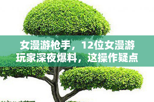 女漫游枪手,12位女漫游玩家深夜爆料,这操作疑点重重,老炮当场绷不住! 女漫游枪手,12位女漫游玩家深夜爆料,这操作疑点重重,老炮当场绷不住!