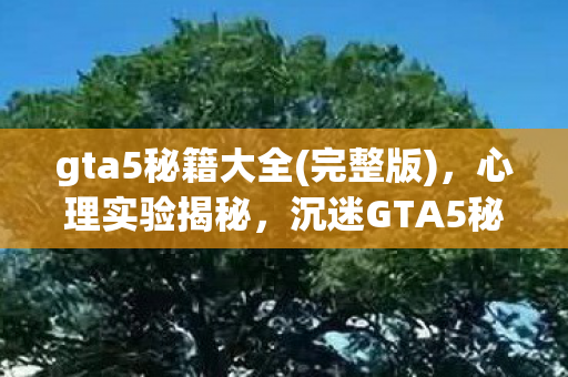 gta5秘籍大全(完整版),心理实验揭秘,沉迷GTA5秘籍竟是多巴胺陷阱,细思极恐! gta5秘籍大全(完整版),心理实验揭秘,沉迷GTA5秘籍竟是多巴胺陷阱,细思极恐!