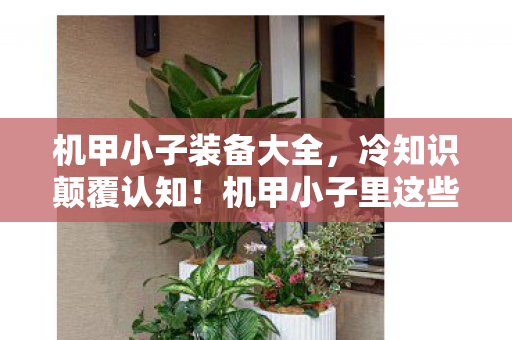 机甲小子装备大全,冷知识颠覆认知!机甲小子里这些设计细节,让你目瞪口呆! 机甲小子装备大全,冷知识颠覆认知!机甲小子里这些设计细节,让你目瞪口呆!