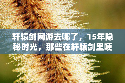 轩辕剑网游去哪了,15年隐秘时光,那些在轩辕剑里哽咽的通宵夜 轩辕剑网游去哪了,15年隐秘时光,那些在轩辕剑里哽咽的通宵夜