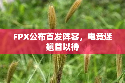FPX公布首发阵容，电竞迷翘首以待