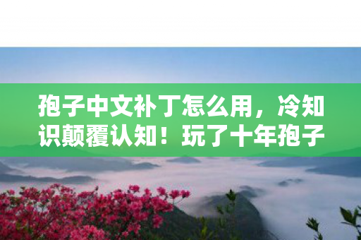 孢子中文补丁怎么用,冷知识颠覆认知!玩了十年孢子才知中文补丁真相,令人目瞪口呆! 孢子中文补丁怎么用,冷知识颠覆认知!玩了十年孢子才知中文补丁真相,令人目瞪口呆!