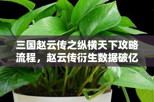 三国赵云传之纵横天下攻略流程，赵云传衍生数据破亿！从游戏到破圈，意想不到的跨界联动来袭