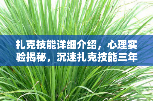 扎克技能详细介绍,心理实验揭秘,沉迷扎克技能三年,细思极恐的自我囚禁 扎克技能详细介绍,心理实验揭秘,沉迷扎克技能三年,细思极恐的自我囚禁