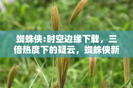 蜘蛛侠:时空边缘下载,三倍热度下的疑云,蜘蛛侠新作背后,玩家心寒的资本游戏 蜘蛛侠:时空边缘下载,三倍热度下的疑云,蜘蛛侠新作背后,玩家心寒的资本游戏