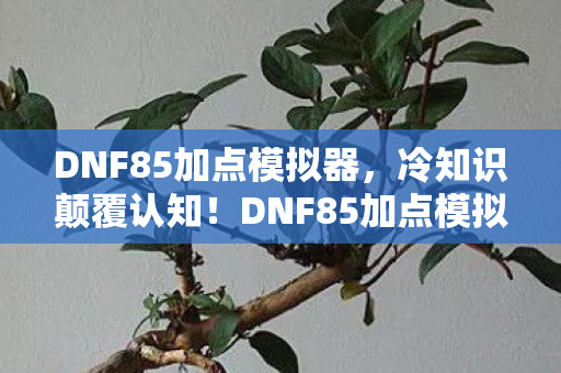 DNF85加点模拟器,冷知识颠覆认知!DNF85加点模拟器竟藏着让老玩家目瞪口呆的隐藏算法 DNF85加点模拟器,冷知识颠覆认知!DNF85加点模拟器竟藏着让老玩家目瞪口呆的隐藏算法