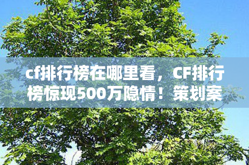 cf排行榜在哪里看，CF排行榜惊现500万隐情！策划案被砍真相曝光，结果让人吓一跳！