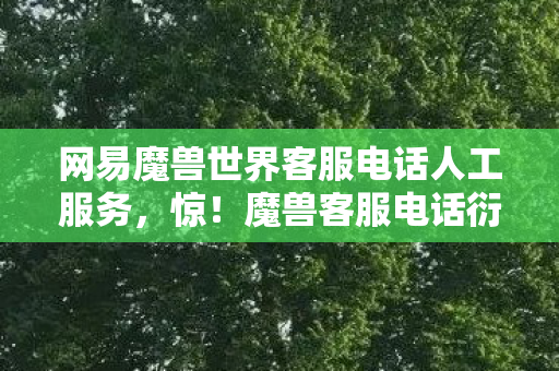 网易魔兽世界客服电话人工服务,惊!魔兽客服电话衍生数破圈,竟在潮流界掀起意想不到风暴! 网易魔兽世界客服电话人工服务,惊!魔兽客服电话衍生数破圈,竟在潮流界掀起意想不到风暴!