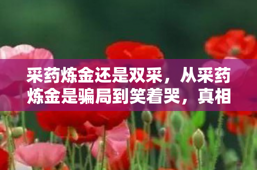 采药炼金还是双采,从采药炼金是骗局到笑着哭,真相揭晓后,落差里藏着谁的青春? 采药炼金还是双采,从采药炼金是骗局到笑着哭,真相揭晓后,落差里藏着谁的青春?