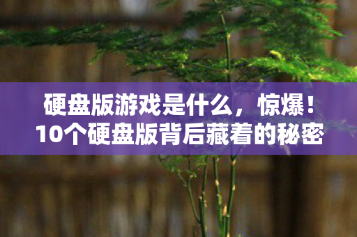 硬盘版游戏是什么，惊爆！10个硬盘版背后藏着的秘密，竟让百万玩家泪目！