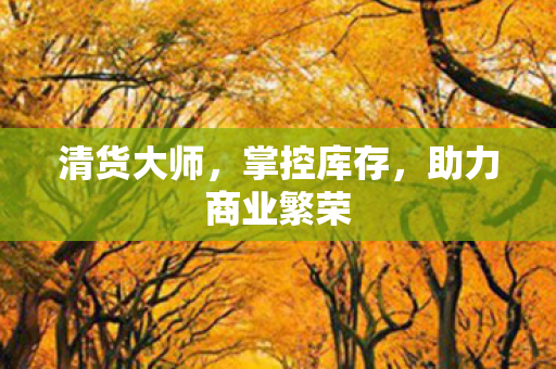 清货大师，掌控库存，助力商业繁荣