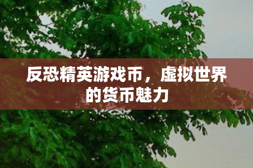 反恐精英游戏币，虚拟世界的货币魅力