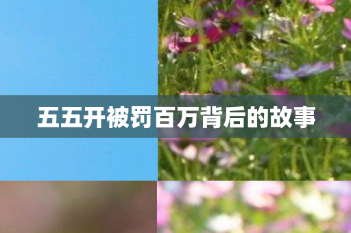 五五开被罚百万背后的故事
