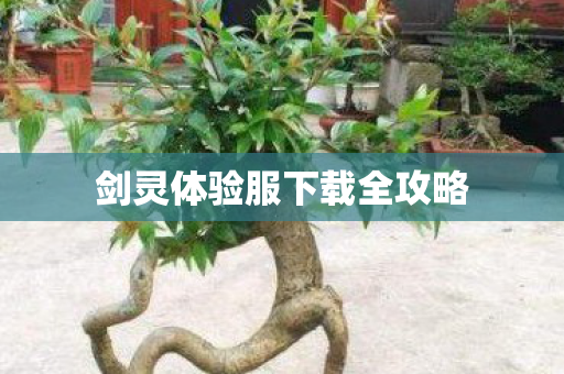 剑灵体验服下载全攻略