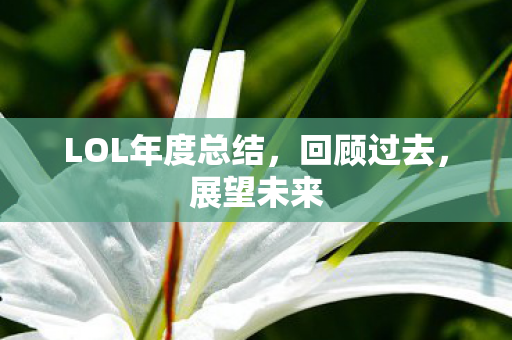LOL年度总结，回顾过去，展望未来