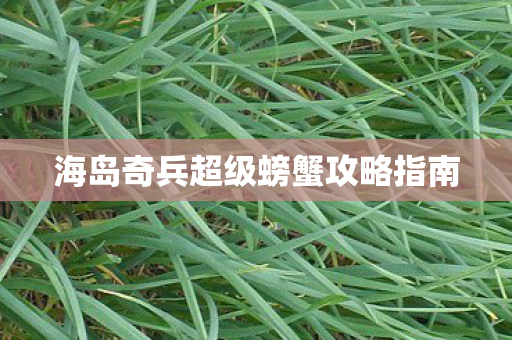 海岛奇兵超级螃蟹攻略指南