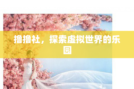 撸撸社，探索虚拟世界的乐园