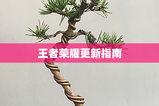王者荣耀更新指南