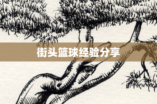 街头篮球经验分享