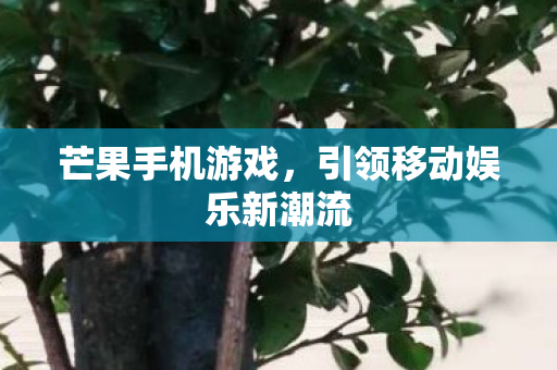 芒果手机游戏，引领移动娱乐新潮流
