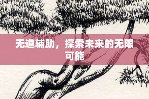 无道辅助，探索未来的无限可能