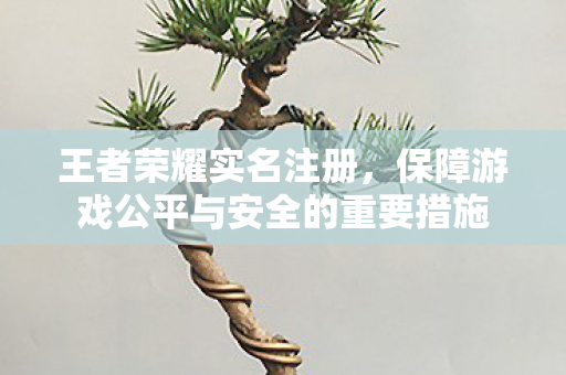 王者荣耀实名注册，保障游戏公平与安全的重要措施