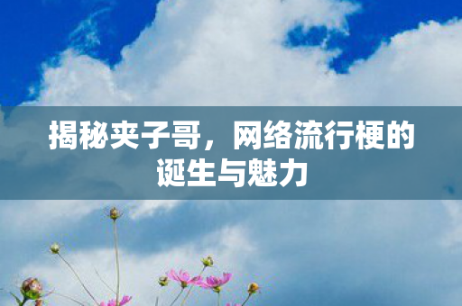 揭秘夹子哥，网络流行梗的诞生与魅力