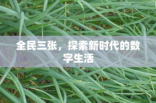 全民三张，探索新时代的数字生活