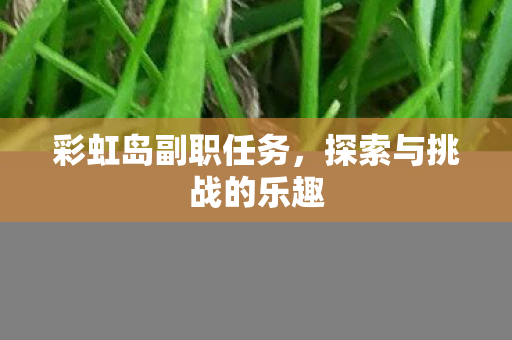 彩虹岛副职任务，探索与挑战的乐趣