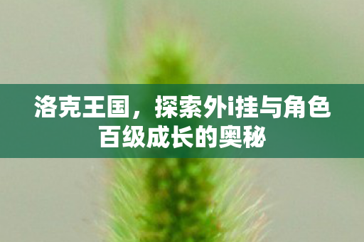 洛克王国，探索外i挂与角色百级成长的奥秘