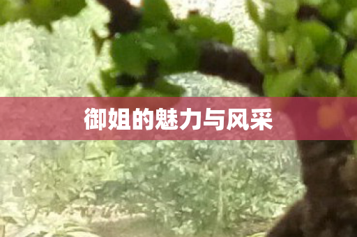 御姐的魅力与风采