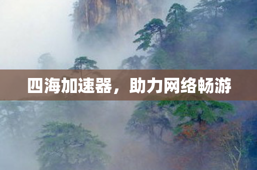 四海加速器，助力网络畅游